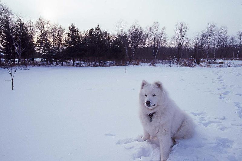 1993-02 Taka Isanti 1.jpg